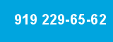 919 229-65-62
